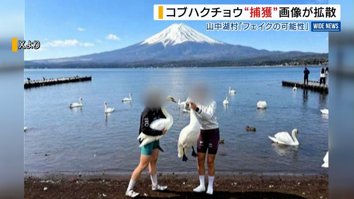 画像が削除されました