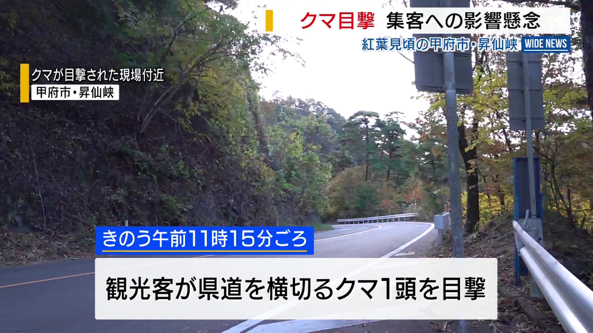 紅葉の昇仙峡でクマ目撃 集客への影響を懸念 「クマがいることはわかっ