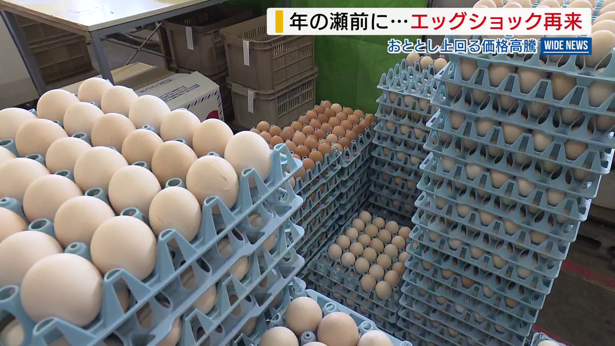 11月に相場は2～3回上がっている」 年の瀬前にエッグショック再燃 卵が