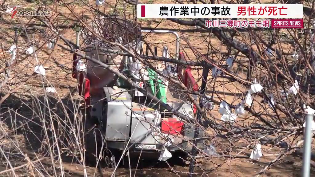 山梨県市川三郷町の桃畑で農作業中の事故　９０代男性が死亡