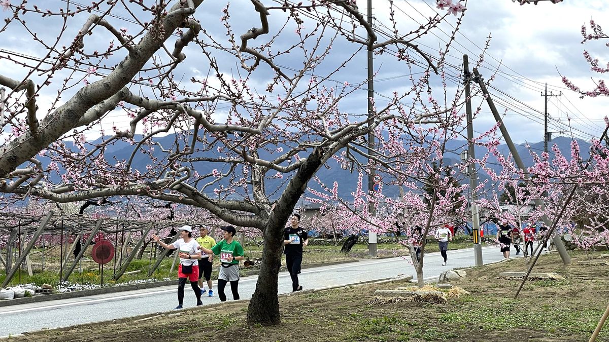ピンクの花でおもてなし