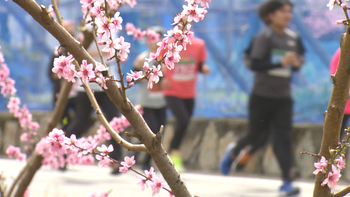 笛吹市と言えば桃の花