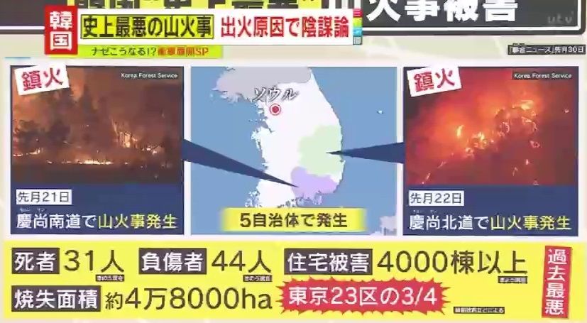 “史上最悪”韓国で起きた山火事