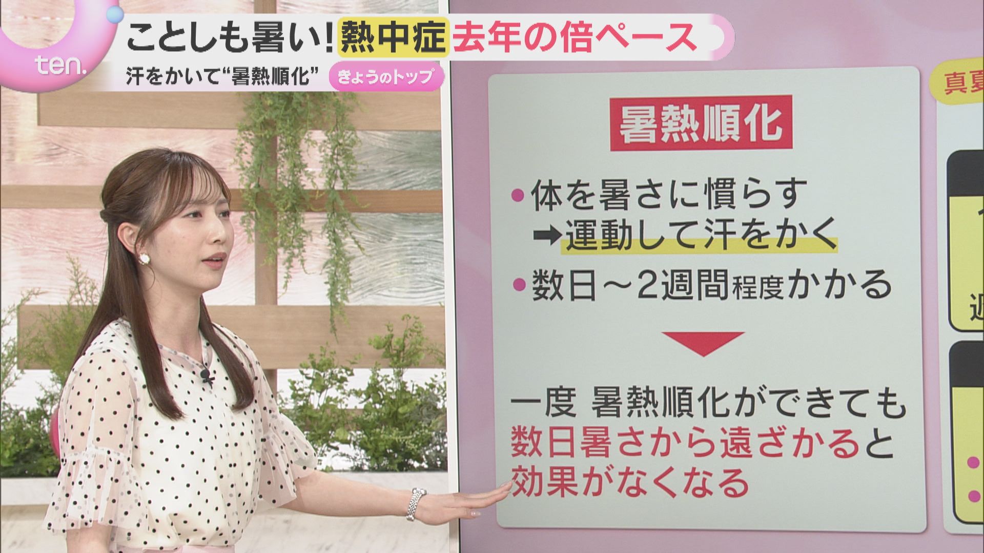 夏本番を前に】エアコン点検は今のうちに！試運転のコツ 暑熱順化と