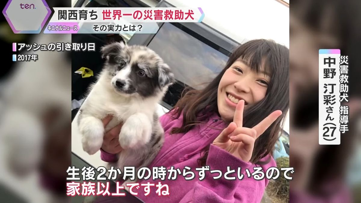 犬 見張り番 城で毎日散歩していたら看板犬に…柴犬「はなちゃん」松江城ワンコ大使