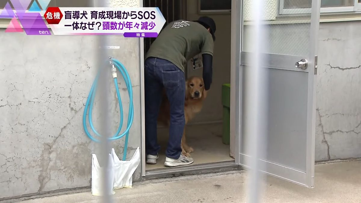 「盲導犬訓練士」の人材確保も資金不足