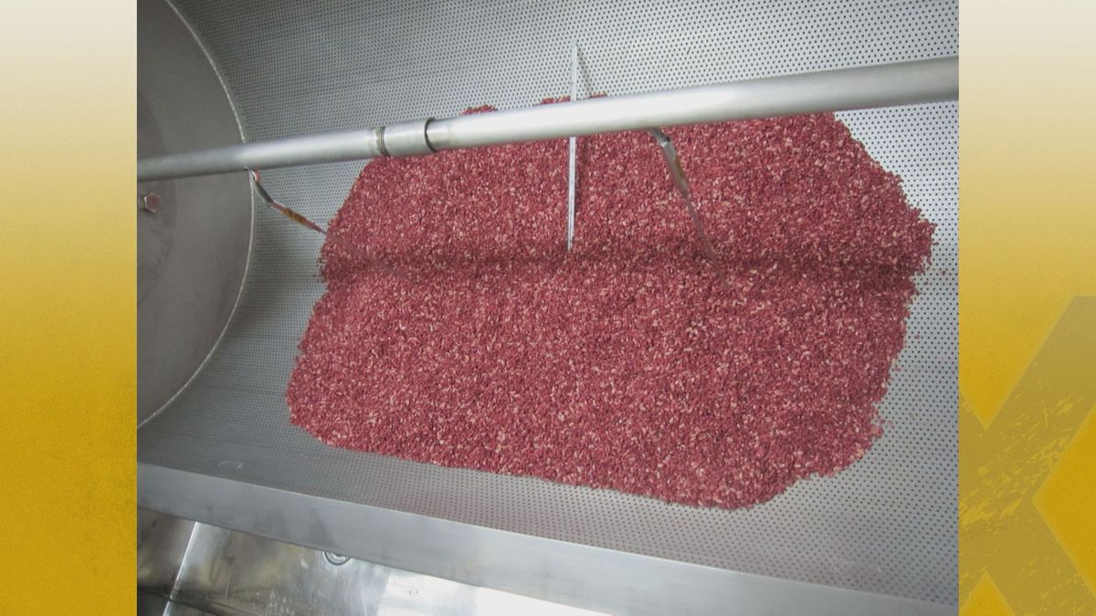 紅麹の培養タンク：琉球大学農学部　橘准教授提供