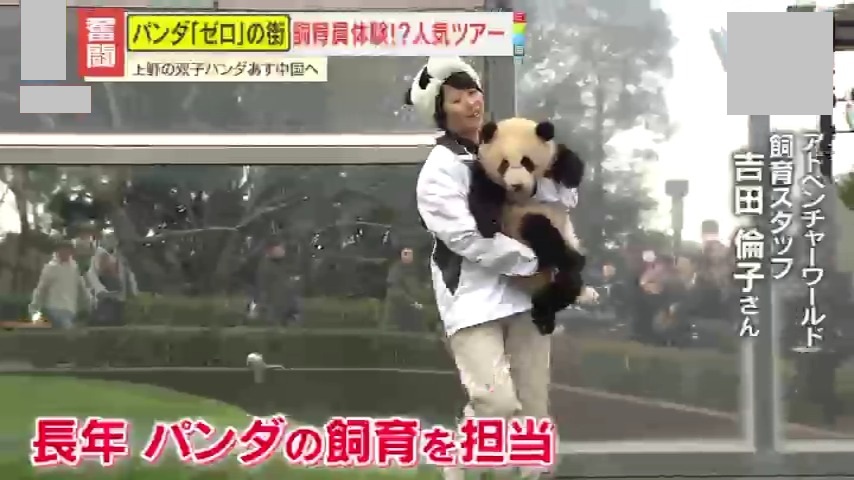3ページ目 【密着】日本から54年ぶりにパンダがいなくなる…上野の双子
