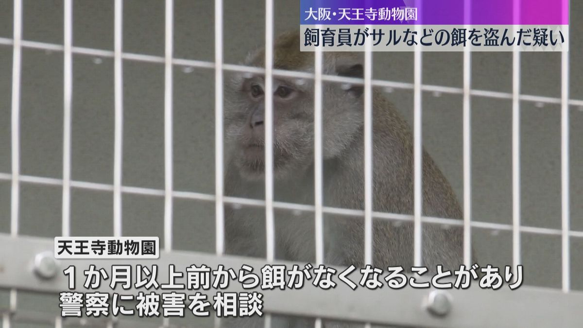 男性飼育員がサルのエサ用の野菜や果物を盗んだ疑い「動物のエサの上前をはねた」大阪市　天王寺動物園