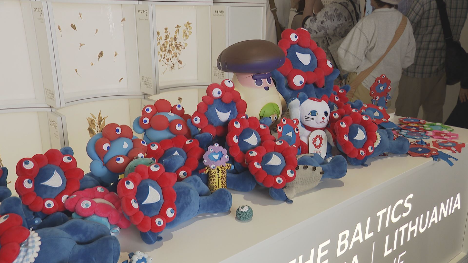 万博】「優しさをバトンし届けたい」バルト館に寄せられた