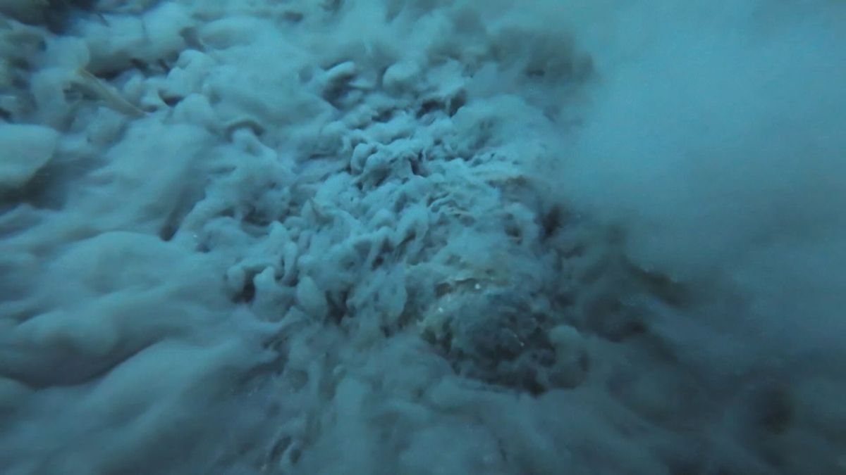 大阪湾の海底の泥の層