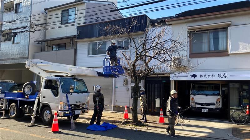 【速報】住民が約60年守り続けた「桜通り」の桜並木の“伐採”始まる　老木化で倒木・交通事故の懸念　地域住民にも賛否　大阪市港区