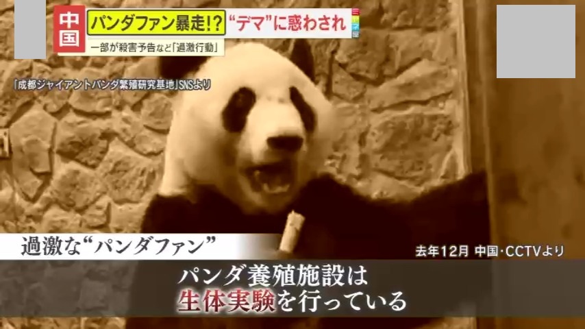 中国】“パンダ虐待”デマが拡散されファン暴走 一部が殺害予告など｢過激