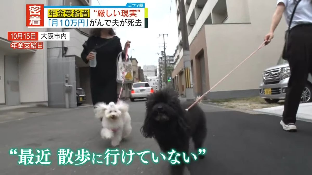 愛犬の散歩をスタッフがお手伝い