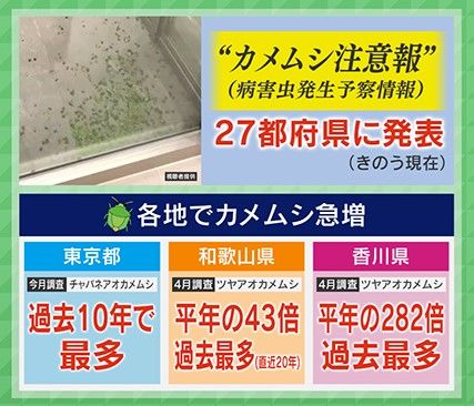 カメムシ注意報 27都府県に発表（2024年5月23日現在）