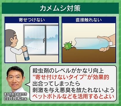 今できるカメムシ対策とは？