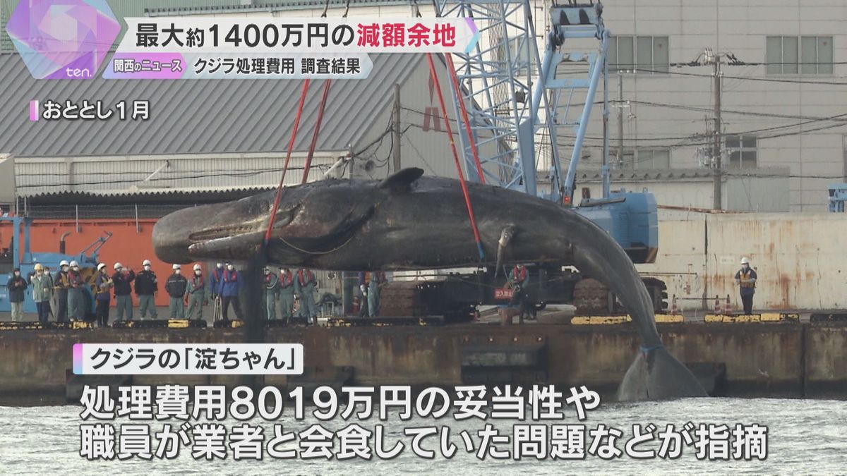 最大約1400万円減額余地あった　クジラ「淀ちゃん」処理費用めぐる問題、監察委員が調査結果公表