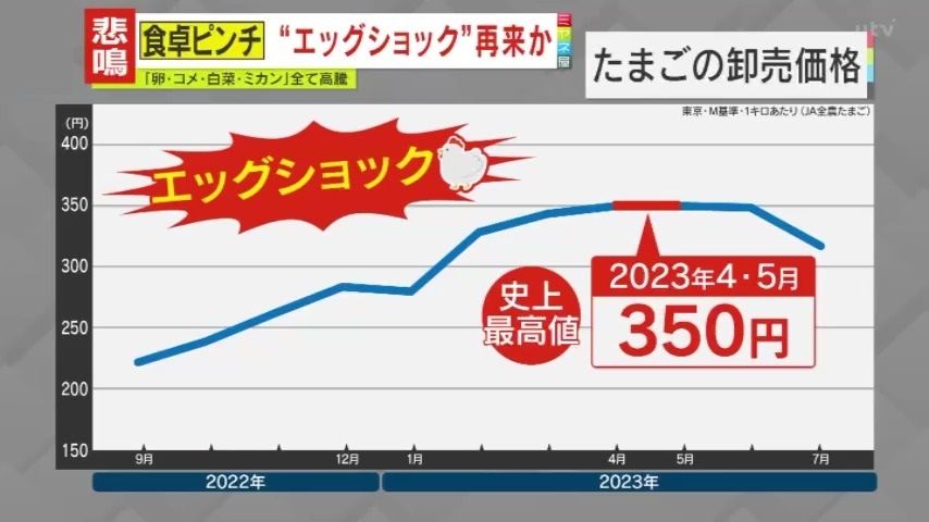 思い起こされる2023年の“エッグショック”