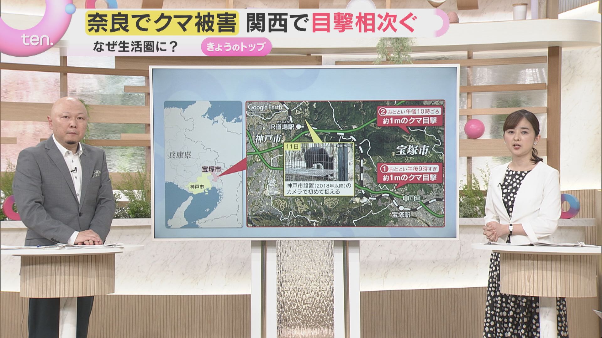 解説】もはや身近な存在？ 相次ぐクマ出没 クマは増えているのか 遭遇