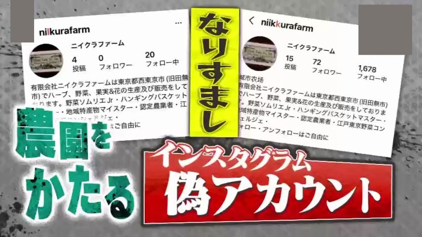 悪質】本物そっくり！？SNSで急増、農園をかたる“ニセ農家”詐欺 「信用