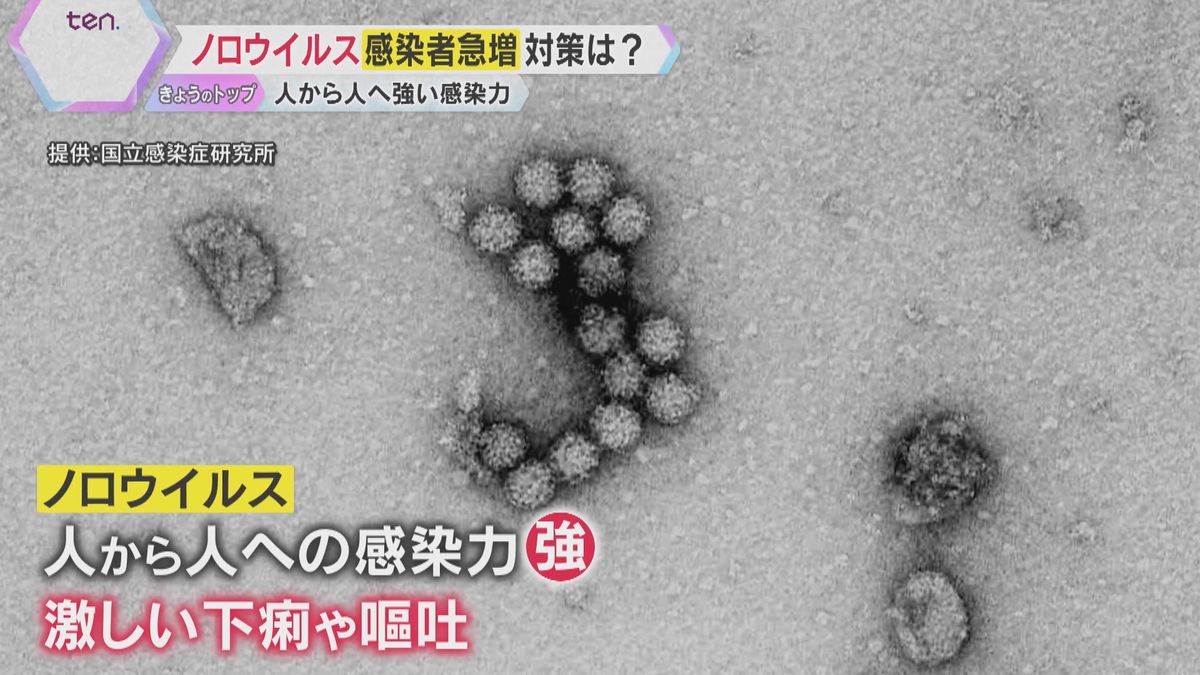 ノロウイルスが猛威「感染性胃腸炎」の患者急増　寒暖差大きいと感染しやすく　家庭内感染を防ぐには？