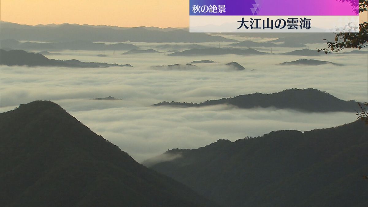 【映像】秋の絶景「雲海」今季一番の冷え込みで朝晩の寒暖差が大きくなり発生　京都・福知山市の大江山