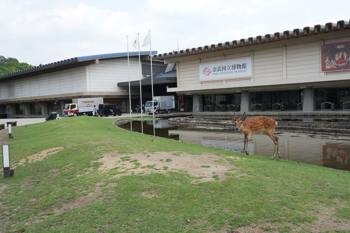 今年はどんな宝物が…奈良の秋を彩る恒例の「正倉院展」奈良国立博物館