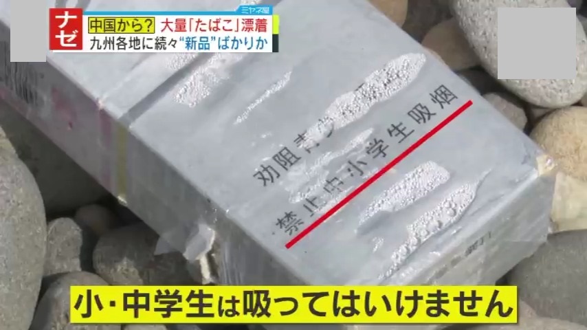 なぜ？】イルカが泳ぐコバルトブルーの海に“中国製タバコ”が大量漂着 密輸の可能性も？すでに約650カートン回収も、被害は九州沿岸各地に…専門家指摘「外交ルートで対応を求めたほうが良い」（2024年9月2日掲載）｜YTV  NEWS NNN