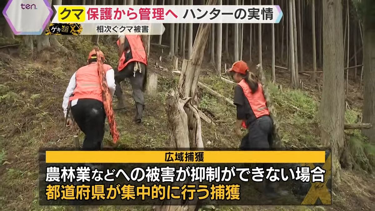 2ページ目 【特集】“クマ被害”拡大で『緊急銃猟』解禁も“民間頼み”の