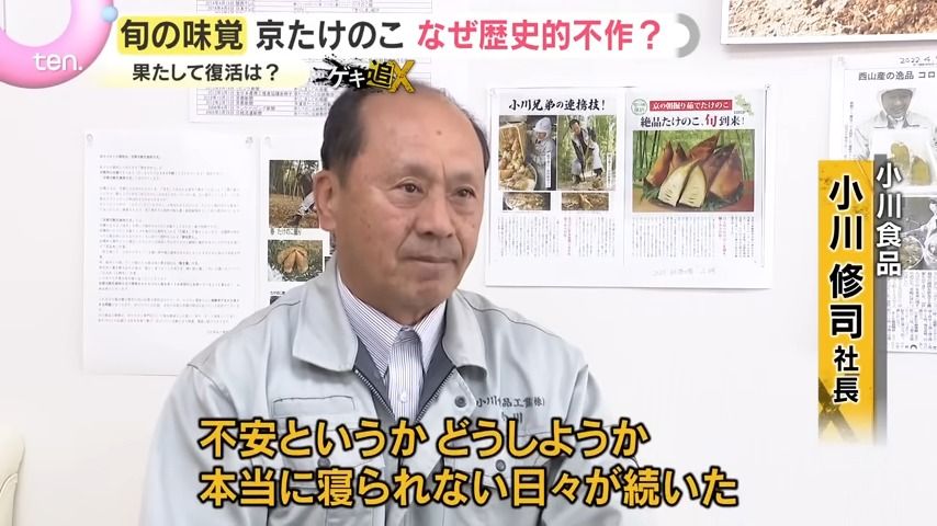 危機】「仕事にならない」外来種の蛾による食害で京たけのこに異変