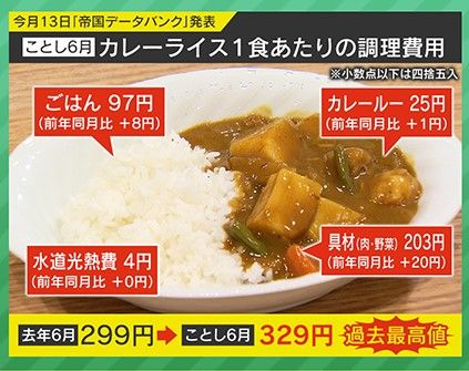 カレーライス一食の費用が過去最高に 