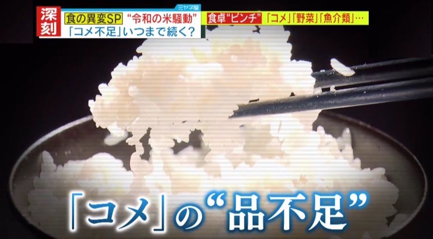 【異変】カレーライスの調理費用が過去最高値！肉、野菜の価格高騰に加え、深刻な米不足　国は「全体需要がひっ迫している状況ではない」との認識…この「令和の米騒動」はいつまで続くのか？原因と今後の見通し