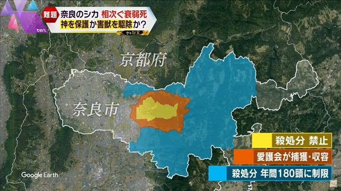 奈良県のシカ保護管理基準