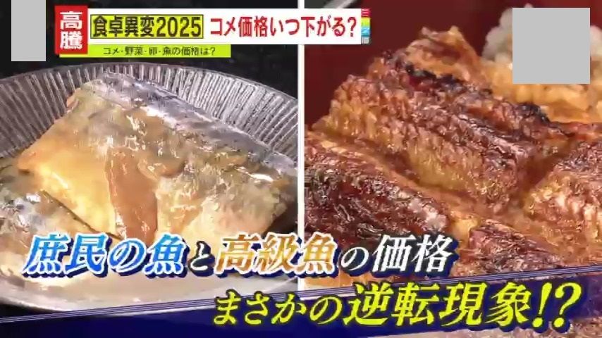 【家計の危機】「海産物を海から取って食べるのは、もう今厳しくなってきている」“庶民の魚”と“高級魚”の価格に逆転現象も…もう節約だけでは乗り切れない?“大値上げ時代”を乗り越えるコツを専門家が解説
