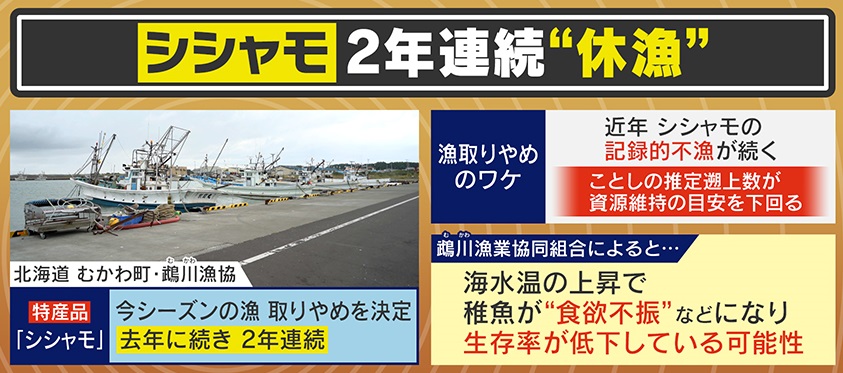 異変】漁獲量が97%減⁉日本の海産物が大ピンチ『秋サケ 異変】漁獲量が97%減⁉日本の海産物が大ピンチ『秋サケ
