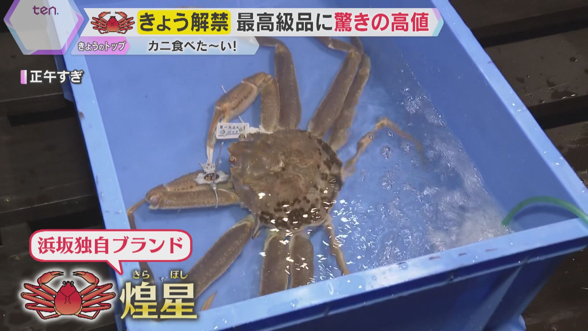 冬の味覚の王様『ズワイガニ』漁が6日解禁 最高級品に驚きの値段が