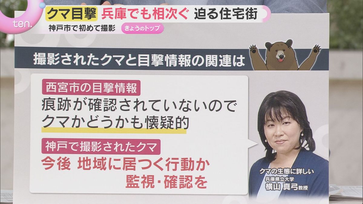 クマ出没】神戸の山あいで初確認 西宮でも目撃 都市近郊の出没に警戒 