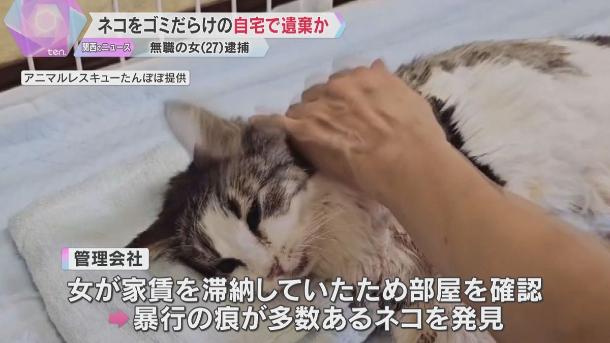 「引っ越しで世話を放棄」飼っていたネコをゴミだらけの部屋に約1か月置き去りか　27歳無職の女逮捕