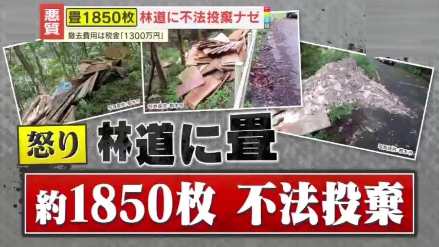 悪質】畳1850枚が林道に不法投棄！撤去費用は税金1300万円、迷惑行為に 