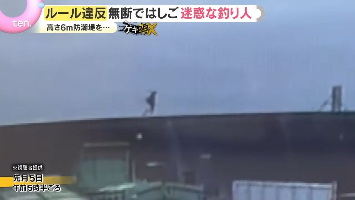 視聴 者 提供