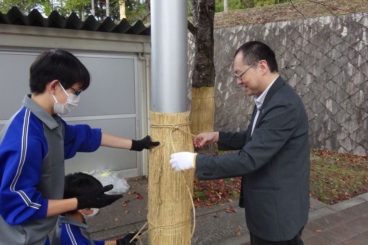 カメムシを捕獲するしかけ（去年9月・アース製薬提供）