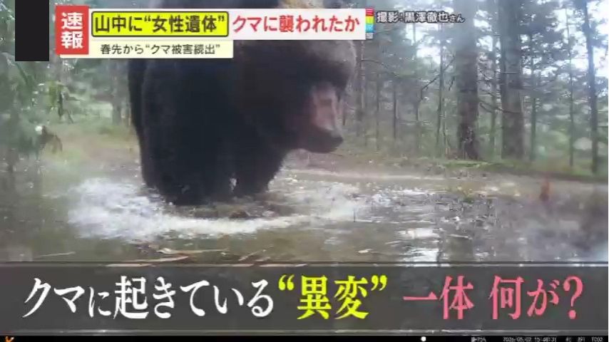 警戒】人里に出没、ハンターも襲撃…各地でクマ被害続出 専門家が指摘