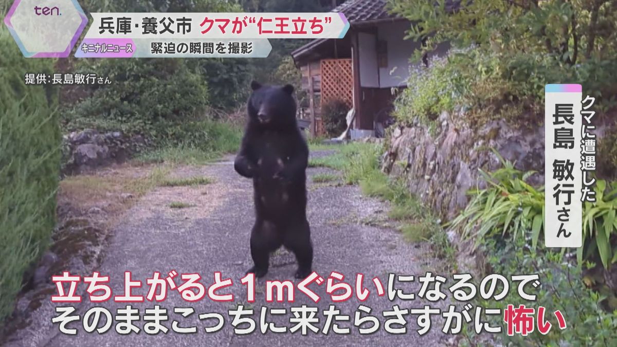 【緊迫の映像】クマが目の前で仁王立ちに…「何十回も出会っているが初めて見た」目撃は過去最多ペース　秋は市街地に出没する懸念も