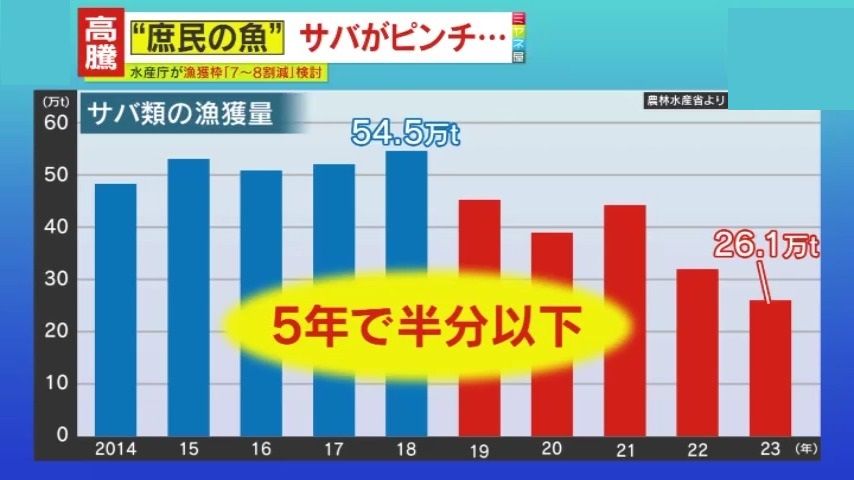 漁獲量は5年で半分以下に